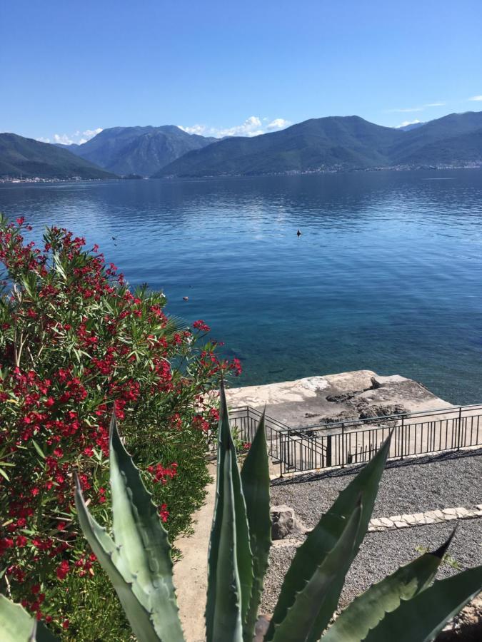 Apartment Tri Kiparisa Tivat Exterior photo
